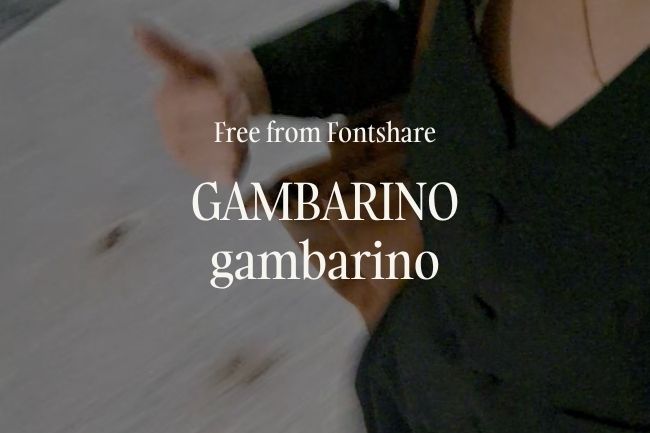 9 Free Website Fonts You'll Want to Try (Beyond Google Fonts) 7 Gambarino font from fontshare